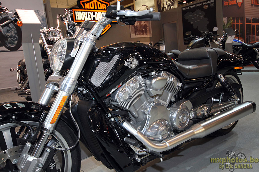 Harley VRSCF V Road Muscle