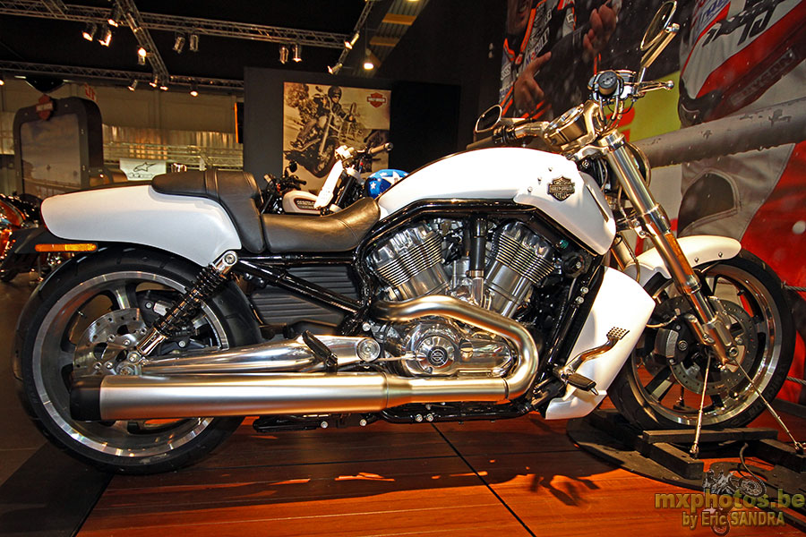 Harley VRSCF V Rod Muscle