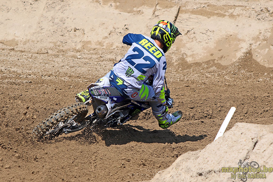  Chad REED 